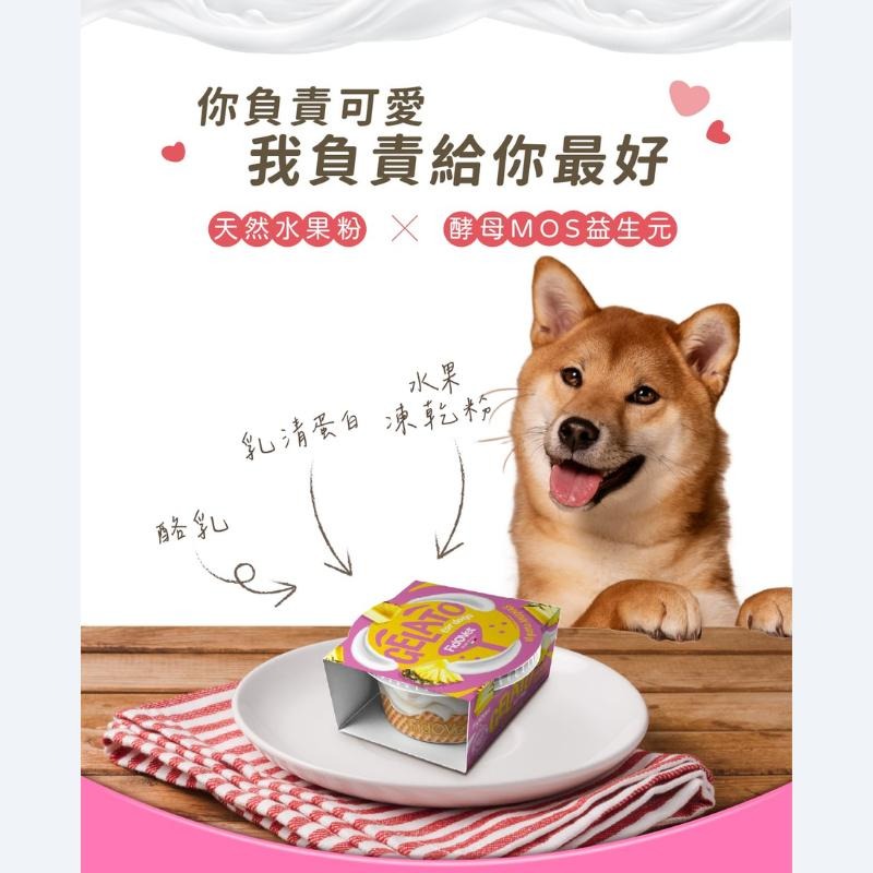 Fidovet 義大利費朵 犬用冰淇淋40g DIY點心 狗狗零食 狗點心 獎勵點心 水果口味 寵物零食-細節圖3