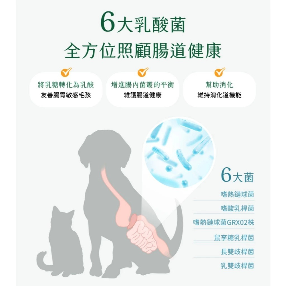 汪喵星球 機能保健丁 機能優格丁 犬貓凍乾 保健零食 貓狗 寵物零食 保健 貓狗皆可吃-細節圖7