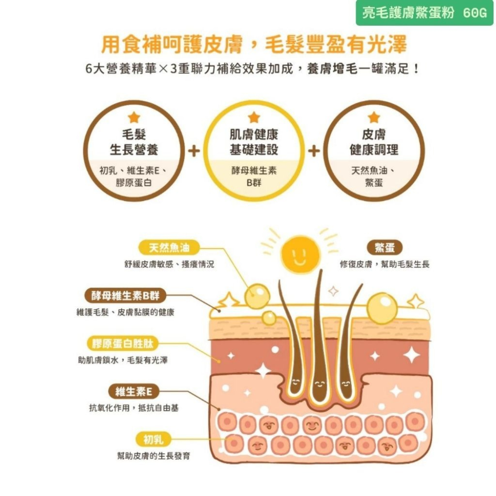 汪喵星球  亮毛護膚 情緒舒壓 放鬆保養 胺基酸紓壓 口腔清潔 酵素潔牙 軟便改善 呼吸道護理 寵物營養-細節圖3