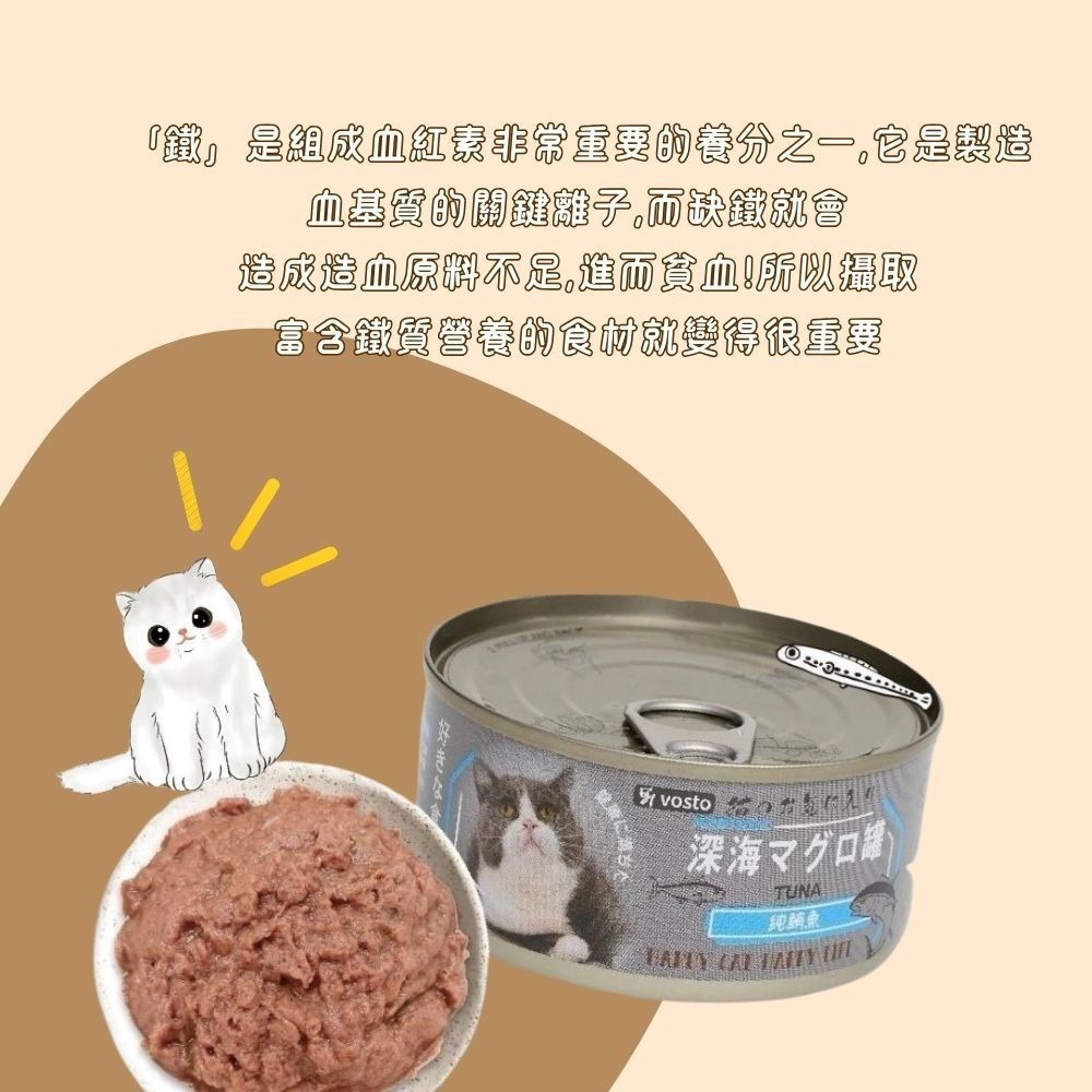 鮮肉補鐵罐 深海vosto貓罐 170g 深海罐 貓罐頭 副食罐 補水罐 貓餐盒 貓食 鮪魚罐 貓零食 貓咪泥罐-細節圖2