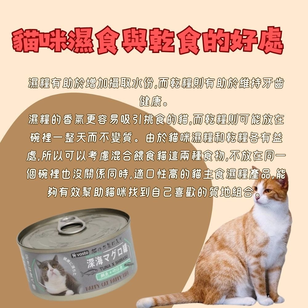 鮮肉補鐵罐 深海vosto貓罐 170g 深海罐 貓罐頭 副食罐 補水罐 貓餐盒 貓食 鮪魚罐 貓零食 貓咪泥罐-細節圖3