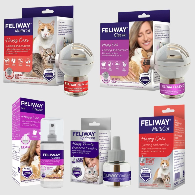 FELIWAY 費利威 貓咪 多貓 貓咪費洛蒙 貓荷爾蒙 噴劑 插電組 補充劑-細節圖2
