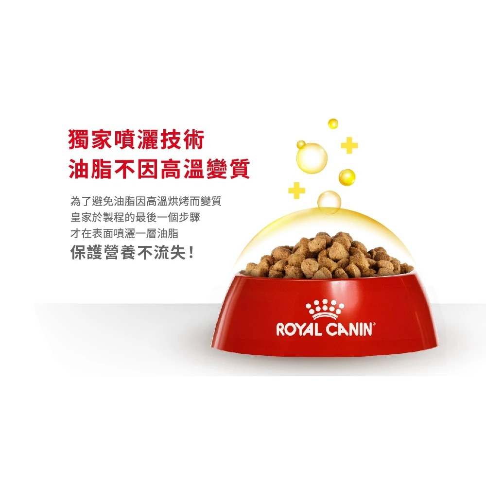 皇家ROYAL CANIN 法國皇家 貓飼料 貓糧 乾貓糧 貓飼料推薦 挑嘴貓飼料 貓主食糧 進口飼料 機能配方飼料-細節圖3