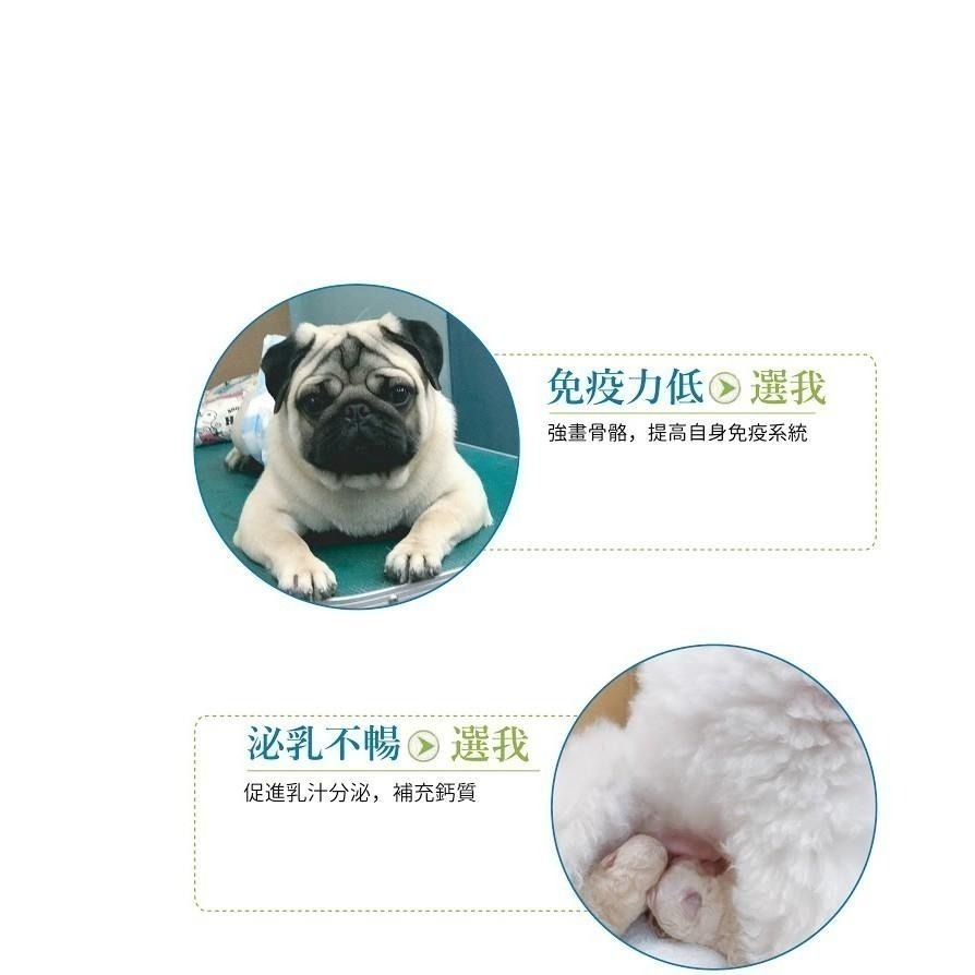 Show me plus 活力鱉丹軟膠囊 鱉丹.爆毛丹 調整抵抗力、體質、鈣質-細節圖2