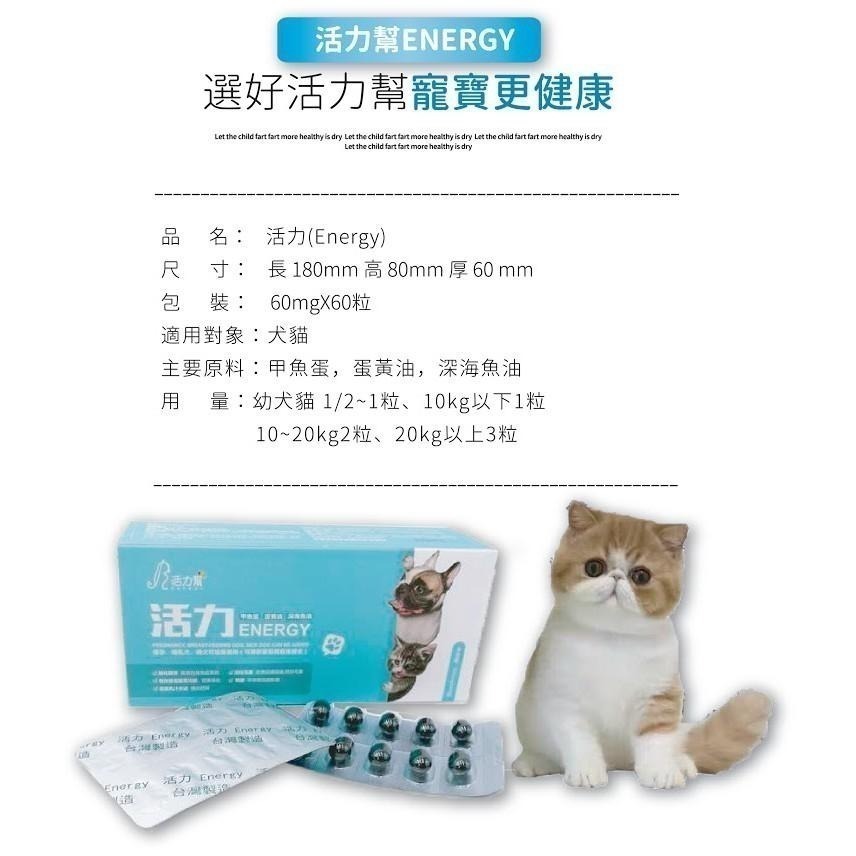 Show me plus 活力鱉丹軟膠囊 鱉丹.爆毛丹 調整抵抗力、體質、鈣質-細節圖3
