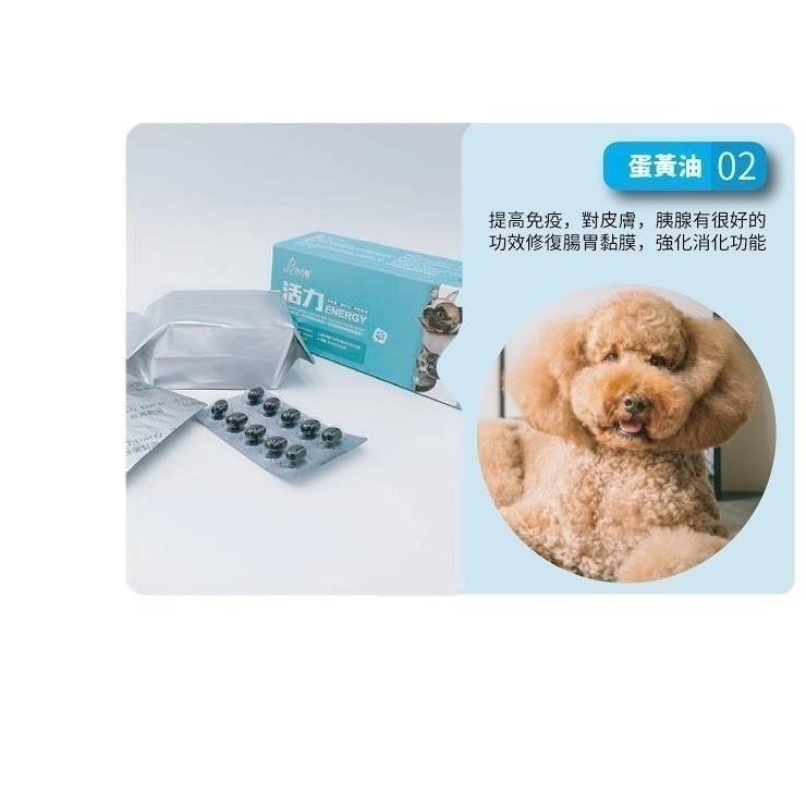 Show me plus 活力鱉丹軟膠囊 鱉丹.爆毛丹 調整抵抗力、體質、鈣質-細節圖6