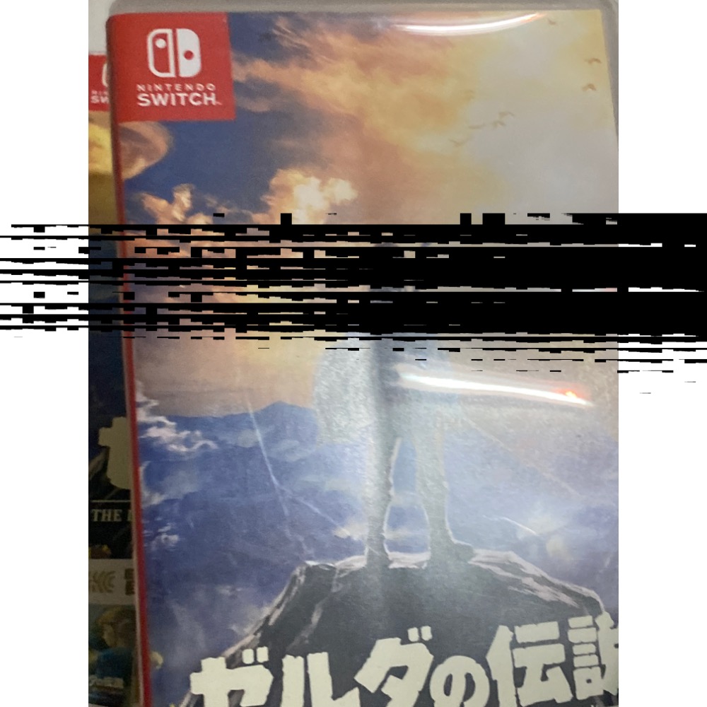 Switch Ns 薩爾達傳說 曠野之息 特典限定版 日版中文-細節圖3