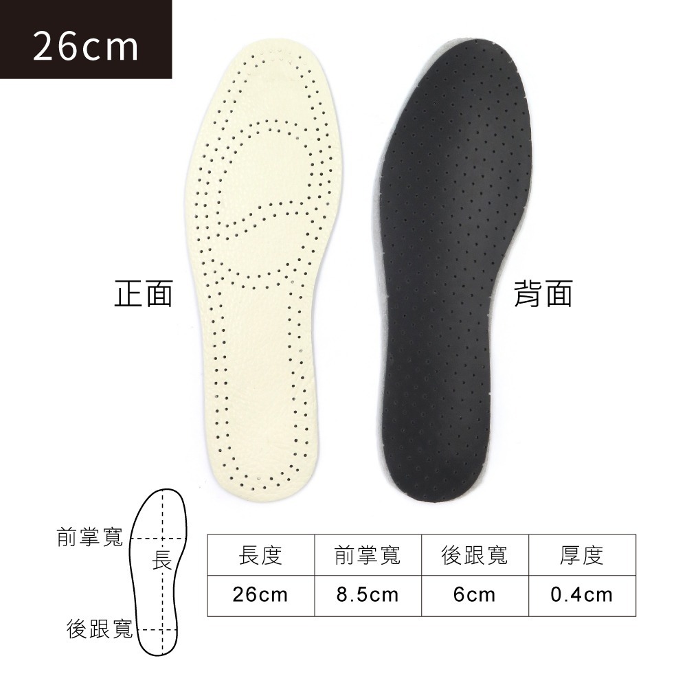 26cm