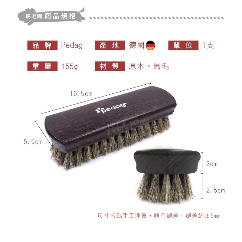 糊塗鞋匠 優質鞋材 P39 德國Pedag馬毛亮光刷 1支 馬毛刷 拋光刷 清潔刷-細節圖3