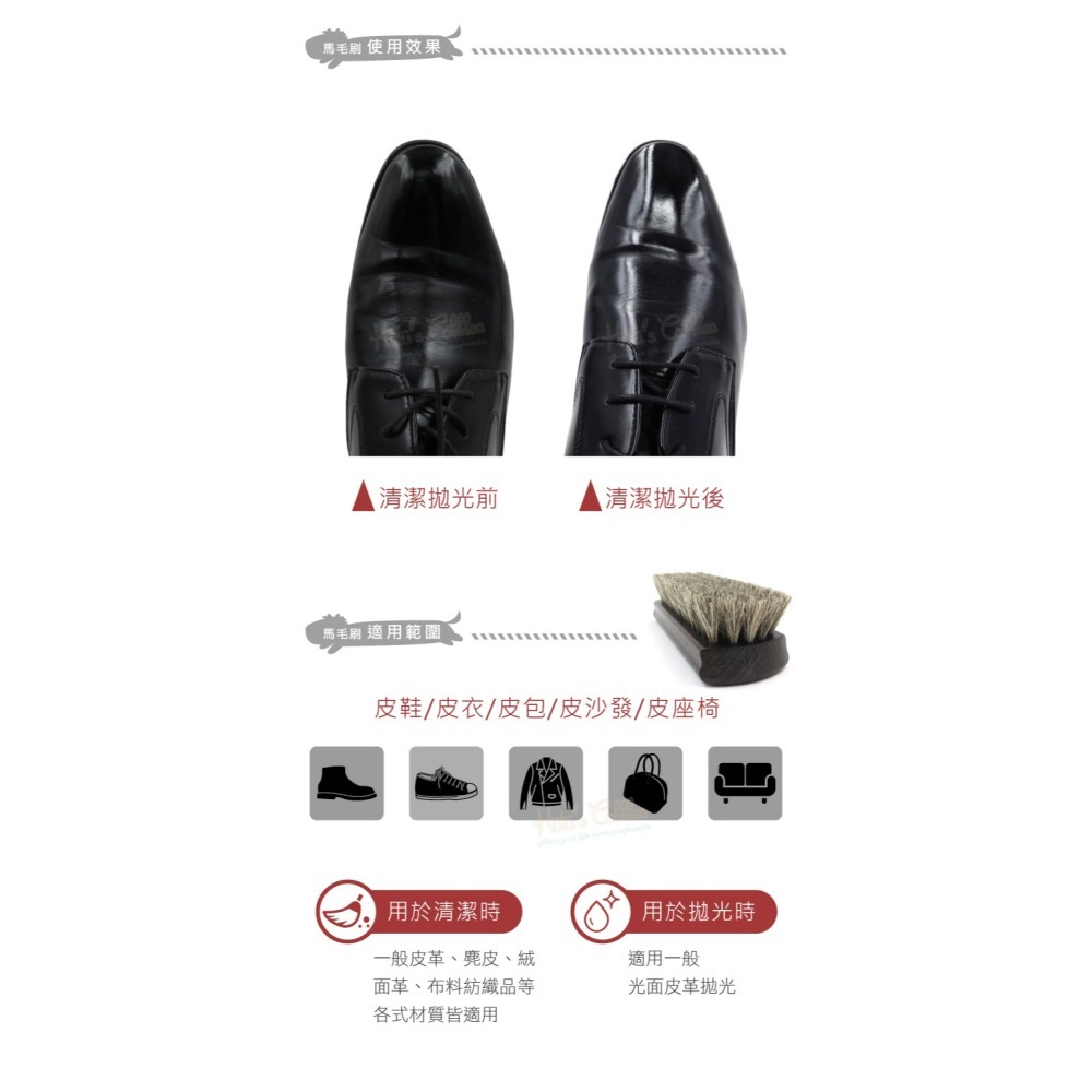 糊塗鞋匠 優質鞋材 P39 德國Pedag馬毛亮光刷 1支 馬毛刷 拋光刷 清潔刷-細節圖7