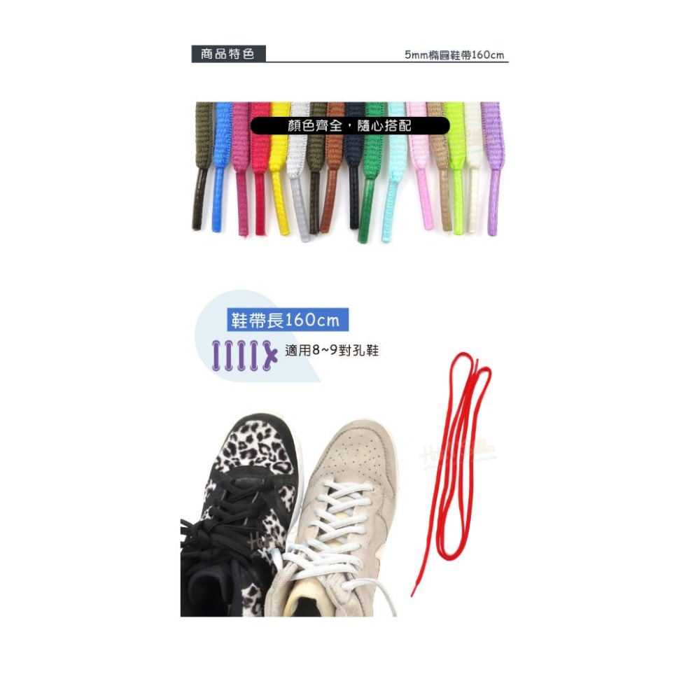 糊塗鞋匠 優質鞋材 G167 5mm橢圓鞋帶160cm 1雙 半圓鞋帶 運動鞋鞋帶 圓鞋帶 休閒鞋鞋帶 跑鞋鞋帶-細節圖5
