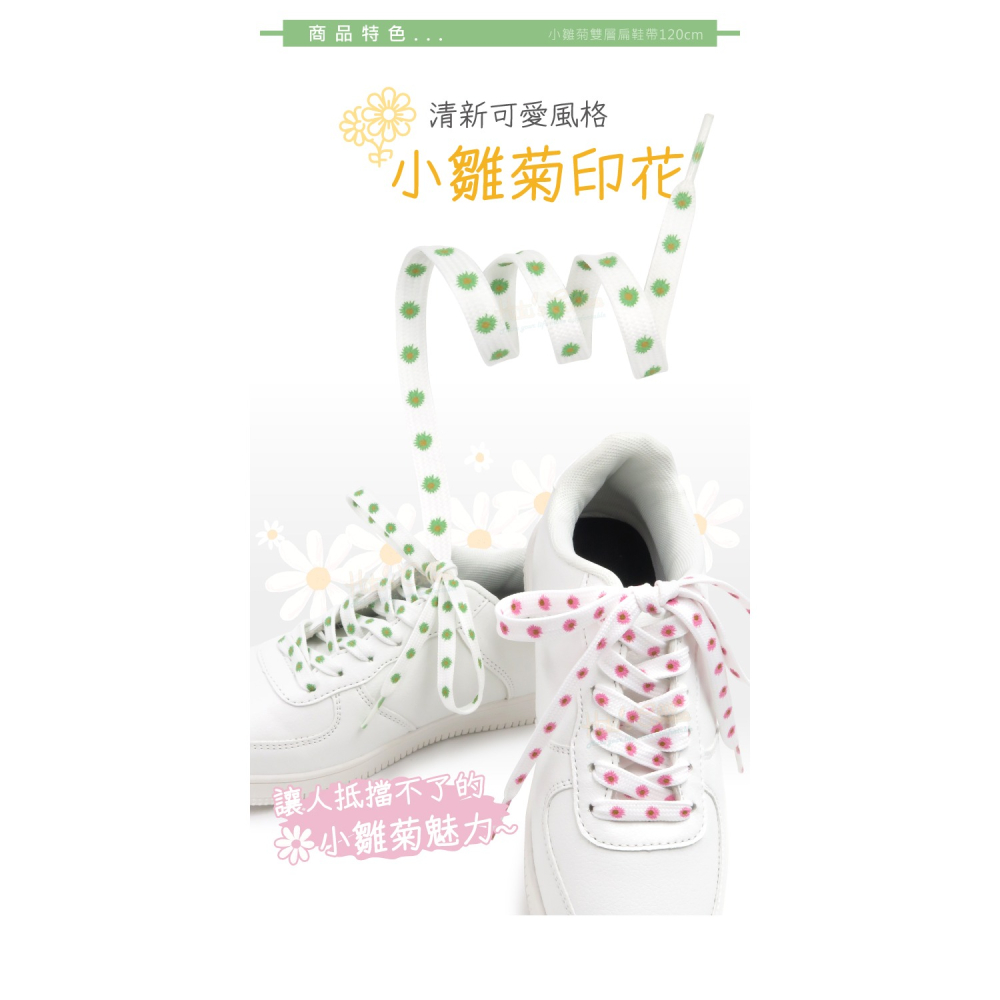 糊塗鞋匠 優質鞋材 G195 小雛菊雙層扁鞋帶120cm 1雙 小雛菊鞋帶 小雛菊印花鞋帶-細節圖5