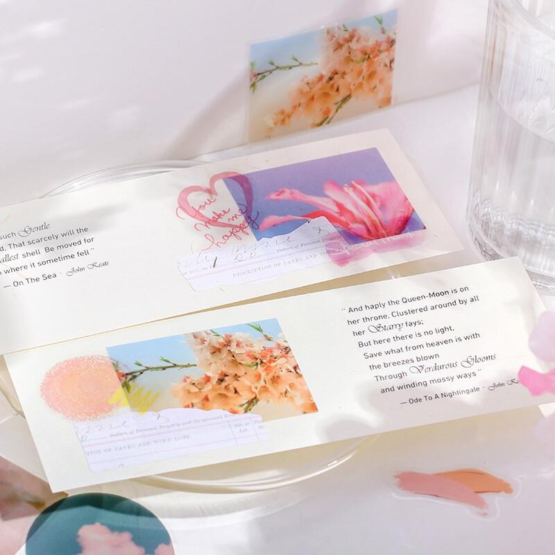 【莫莫日貨】2023 7月新品 日本進口 BGM 色彩之詩系列 半透明描圖紙 貼紙包 - 粉紅 TF017-細節圖4