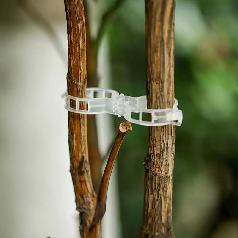 [Hare.D]現貨 植物固定夾 瓜藤夾 果梗夾 藤蔓固定夾 藤蔓夾 幼苗夾 扣子夾 花夾 網袋夾 農業夾子 固定扣-細節圖4