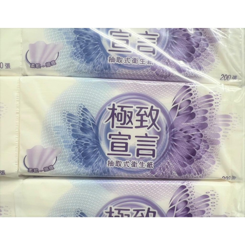 極致宣言 抽取式衛生紙 整箱賣 100抽 原生紙漿 台灣製造 48包1箱 12包1串 【揪好室】-細節圖6