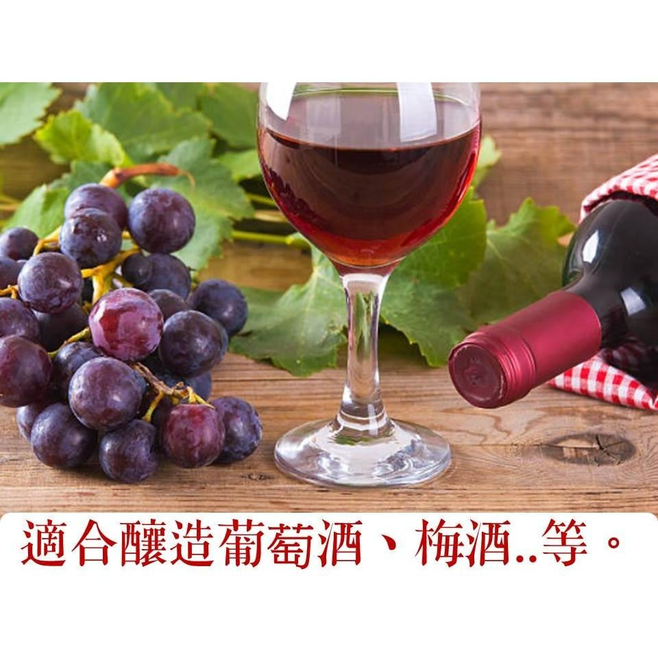 方格玻璃罐 釀造玻璃罐 玻璃罐 【 大容量 】 10.8 15. 20公升 梅酒罐 醃漬罐 果醬罐 方格罐 【揪好室】-細節圖5