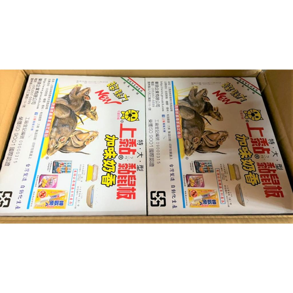 上黏黏鼠板 特大 2入 特大型 PROCATCH 捕鼠板 黏鼠器 黏蟲板 粘鼠板 奶香味  土豆味 肉味 【揪好室】-細節圖3