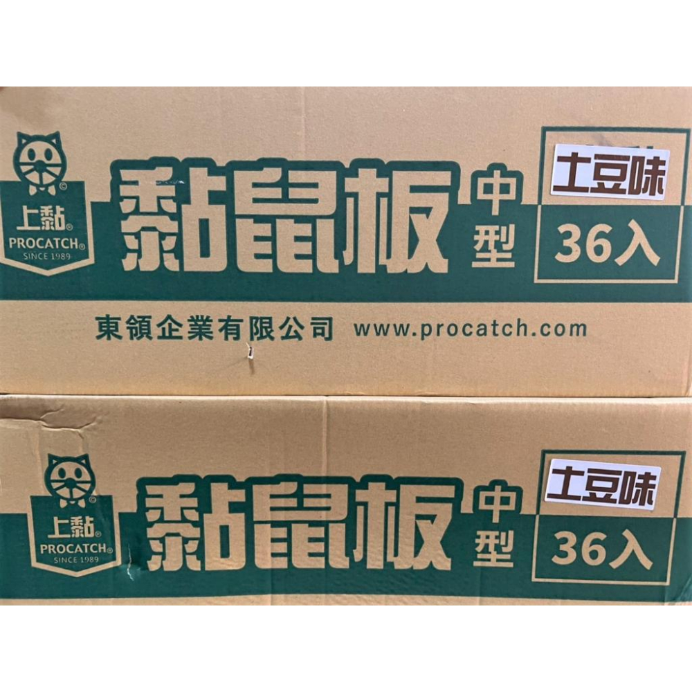 上黏黏鼠板 中型 2入 PROCATCH 捕鼠板 黏鼠器 黏蟲板 粘鼠板 奶香味  土豆味 肉味 【揪好室】-細節圖2