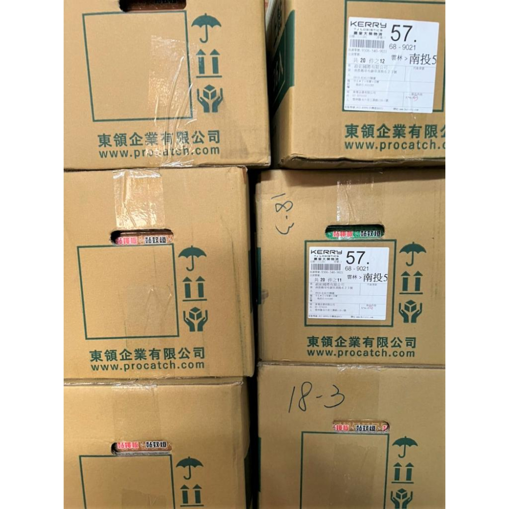 上黏黏鼠板 中型 2入 PROCATCH 捕鼠板 黏鼠器 黏蟲板 粘鼠板 奶香味  土豆味 肉味 【揪好室】-細節圖4