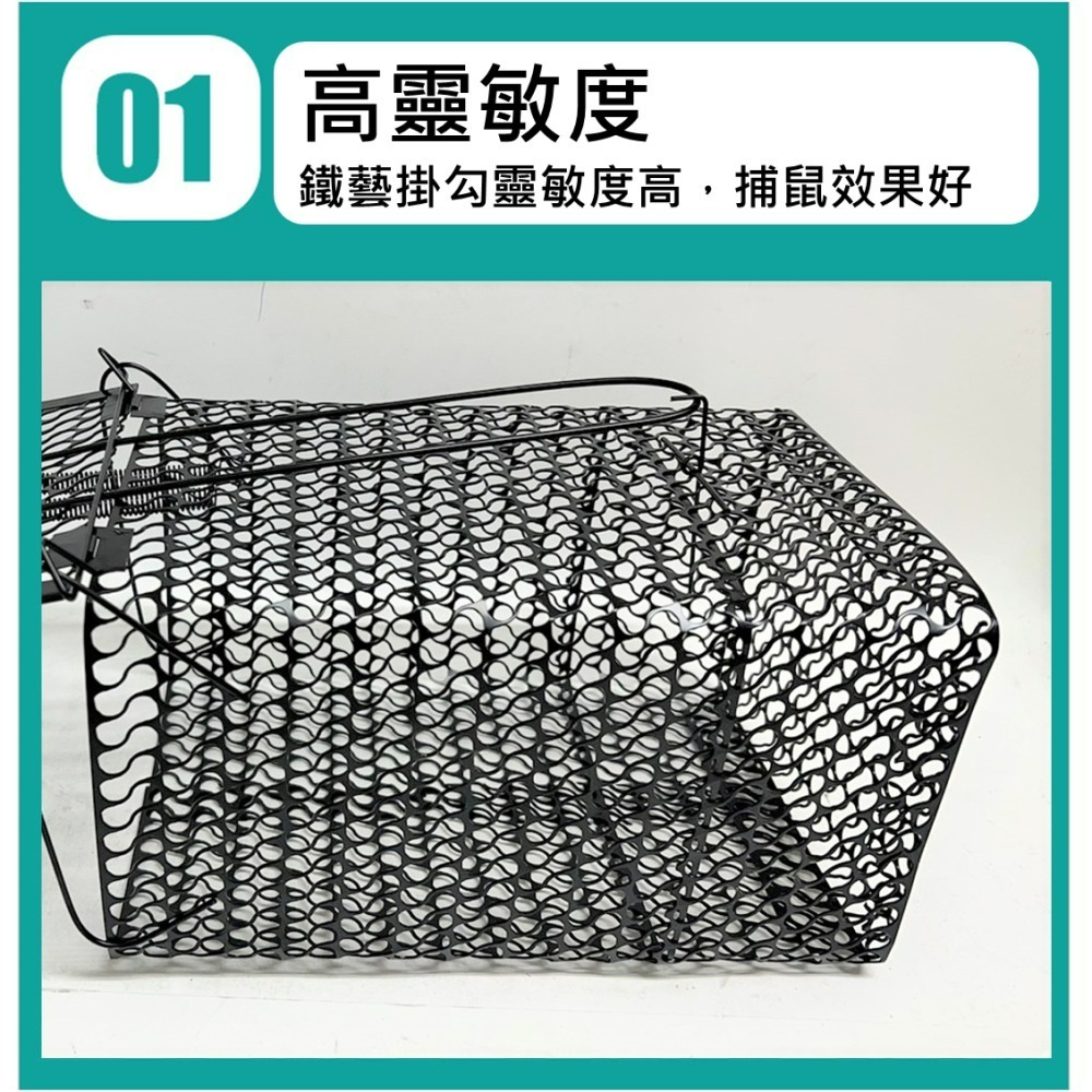 老鼠籠 黑色 捕鼠籠 【 27X17X13 】台灣製 越南製 附發票 捕鼠器 滅鼠 抓老鼠 烤漆老鼠籠 居家捕鼠籠-細節圖2