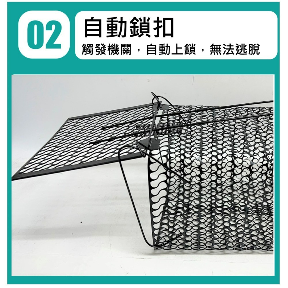 老鼠籠 黑色 捕鼠籠 【 27X17X13 】台灣製 越南製 附發票 捕鼠器 滅鼠 抓老鼠 烤漆老鼠籠 居家捕鼠籠-細節圖3