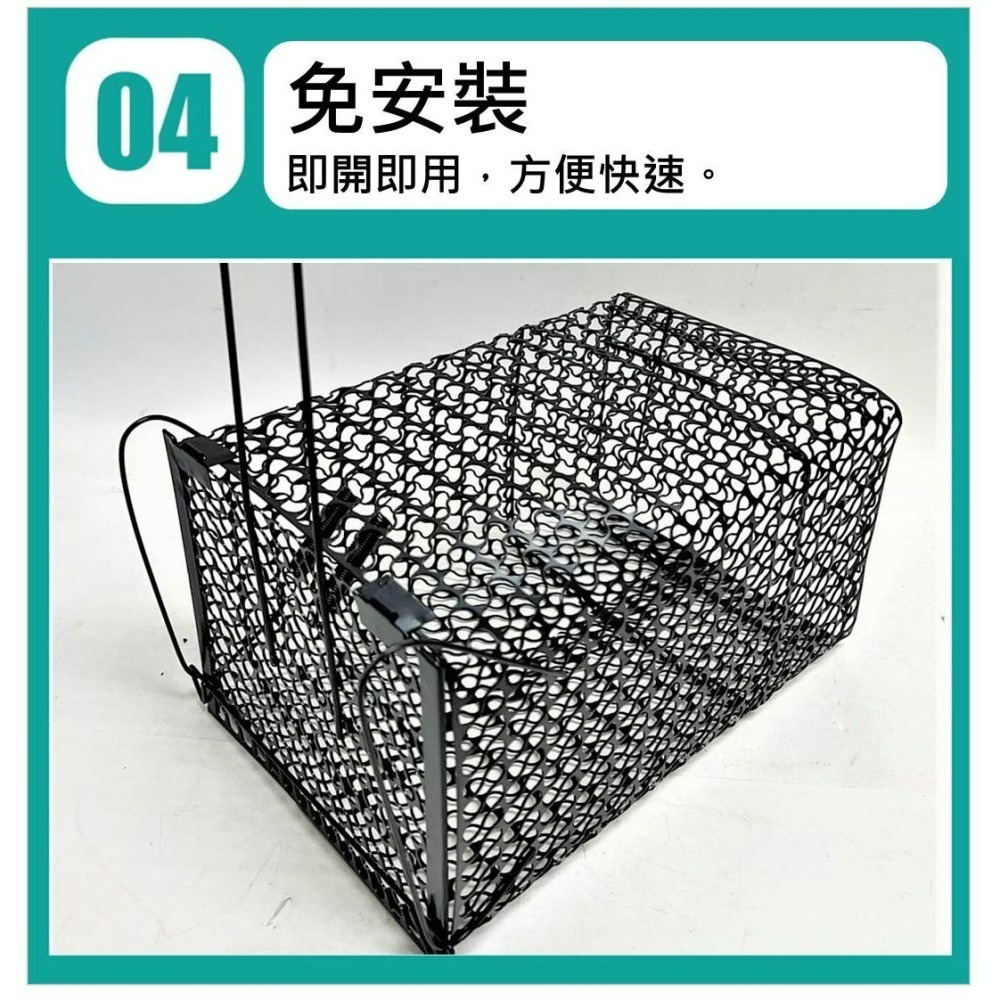 老鼠籠 黑色 捕鼠籠 【 27X17X13 】台灣製 越南製 附發票 捕鼠器 滅鼠 抓老鼠 烤漆老鼠籠 居家捕鼠籠-細節圖5