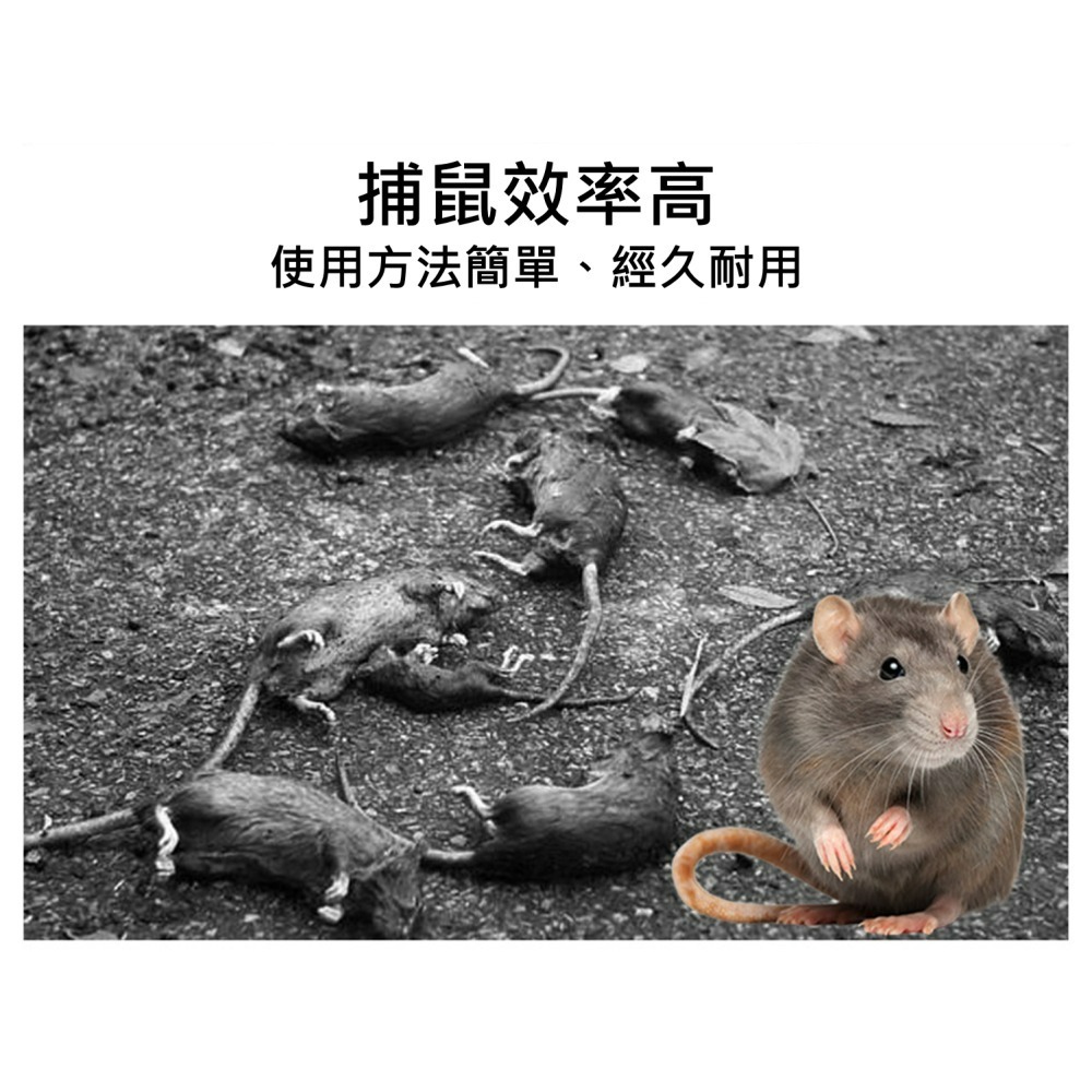 老鼠籠 黑色 捕鼠籠 【 27X17X13 】台灣製 越南製 附發票 捕鼠器 滅鼠 抓老鼠 烤漆老鼠籠 居家捕鼠籠-細節圖7