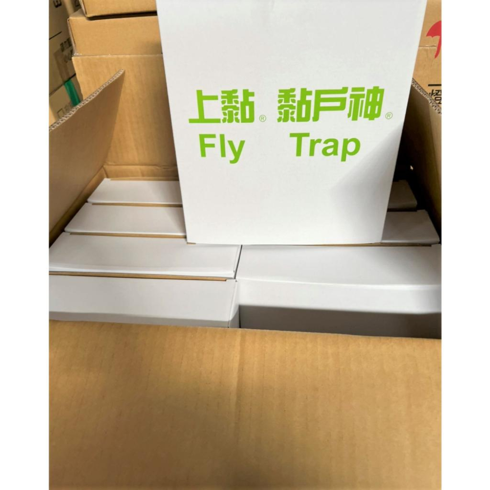 上黏 黏戶神 5片入 【整箱出】 誘黏板 黏蠅板 戶神紙 蒼蠅紙 誘黏板 【揪好室】-細節圖2