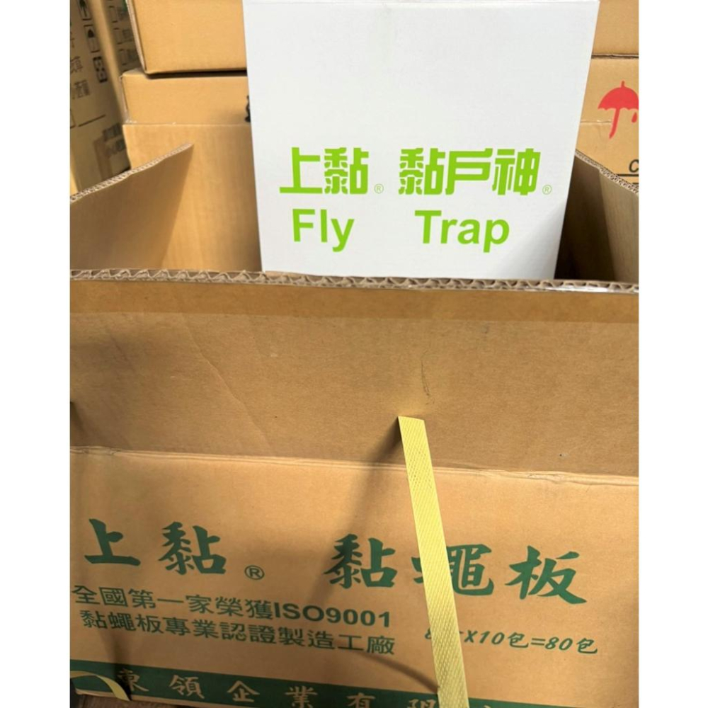 上黏 黏戶神 5片入 【整箱出】 誘黏板 黏蠅板 戶神紙 蒼蠅紙 誘黏板 【揪好室】-細節圖3