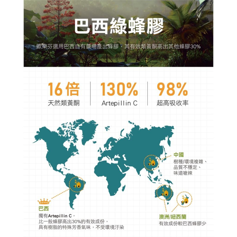 歐樂芬 巴西蜂膠萬用噴劑 蜂膠噴劑 30ml 口腔噴劑 巴西綠蜂膠 齒科專業 【揪好室】-細節圖9