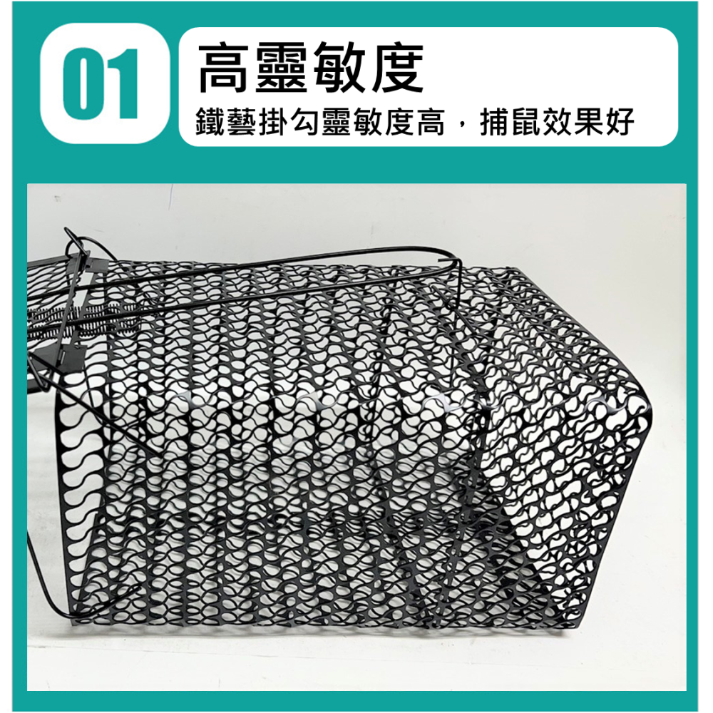 老鼠籠 傳統鼠籠 電金老鼠籠 五彩老鼠籠 【 黑色 / 電金 】電金加大 台灣製 附發票 捕鼠器 烤漆老鼠籠 居家捕鼠籠-細節圖2