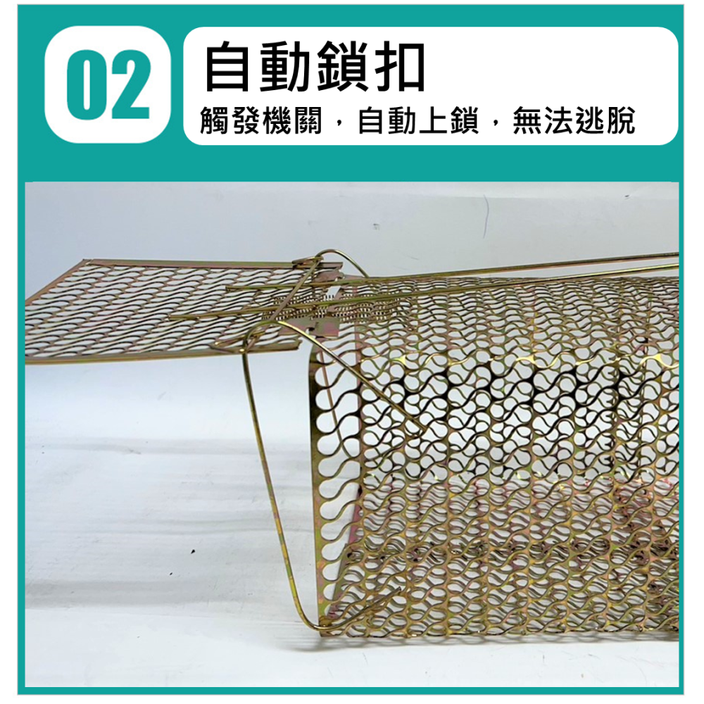 老鼠籠 傳統鼠籠 電金老鼠籠 五彩老鼠籠 【 黑色 / 電金 】電金加大 台灣製 附發票 捕鼠器 烤漆老鼠籠 居家捕鼠籠-細節圖3