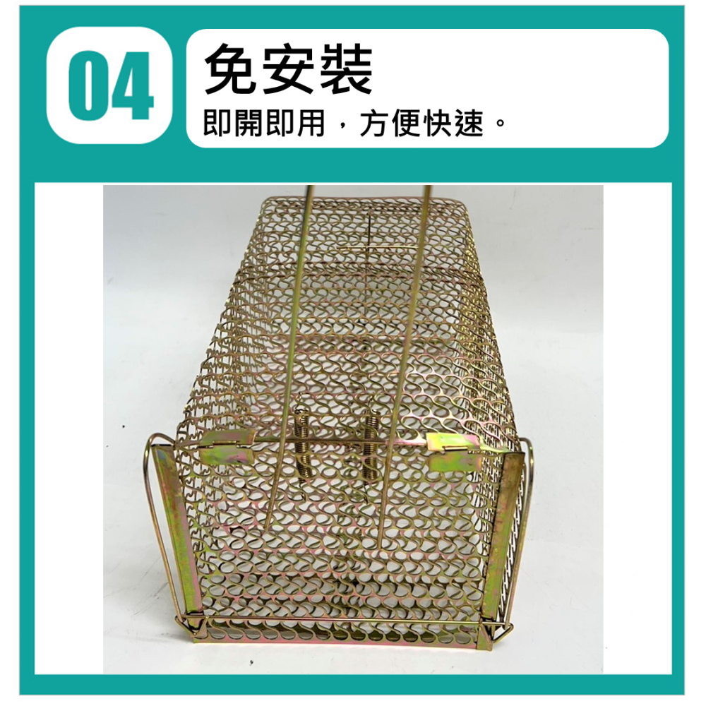 老鼠籠 傳統鼠籠 電金老鼠籠 五彩老鼠籠 【 黑色 / 電金 】電金加大 台灣製 附發票 捕鼠器 烤漆老鼠籠 居家捕鼠籠-細節圖5