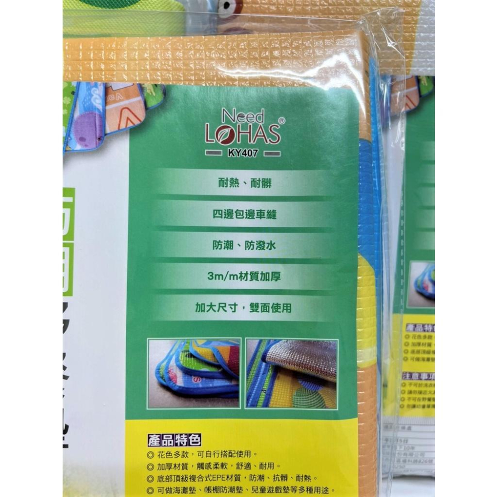 防潮野餐墊 野餐墊 130X90X0.3 坐墊 露營 汽車族 後車廂必放 耐髒 耐熱 防潮 防潑水 野餐 【揪好室】-細節圖5