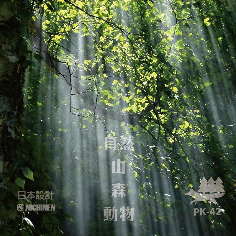 ProKamping 領航家 高功率瓦斯爐 黑森爐 PK-42 4.1kW 大火力卡式爐 附收納盒 【揪好室】-細節圖3