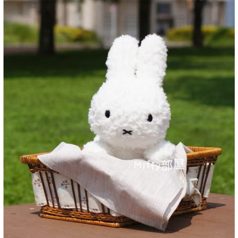 Miffy部屋🍎日本帶回 米飛兔趴姿玩偶 娃娃 米菲兔-細節圖3