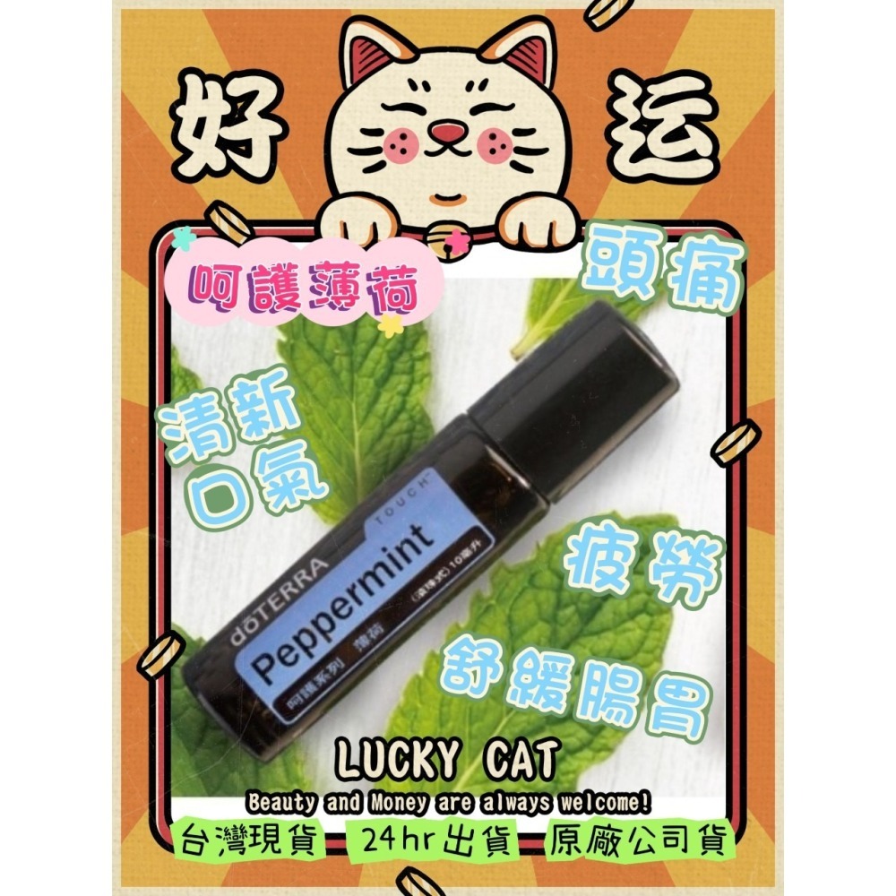🌞滿額免運 買即送贈品 聊聊優惠 台灣原廠正品 現貨 呵護系列 薄荷 精油 滾珠瓶 多特瑞 快速出貨 頭痛 口氣清新-細節圖2