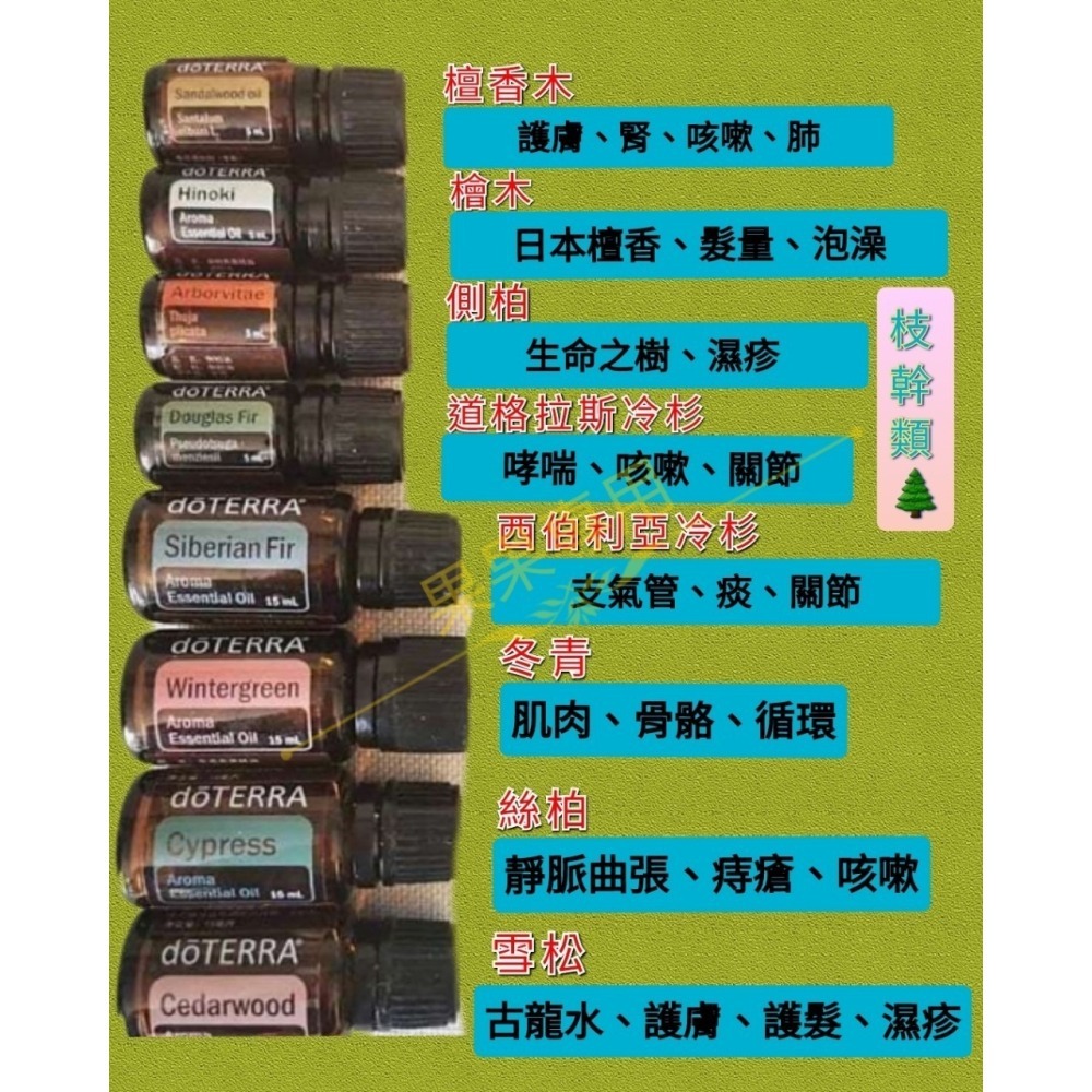 🌞滿額免運 買即送贈品 聊聊優惠 台灣原廠正品 現貨 呵護系列 薄荷 精油 滾珠瓶 多特瑞 快速出貨 頭痛 口氣清新-細節圖5