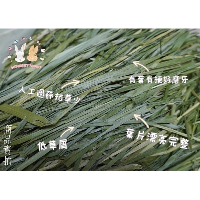 燕麥草400g  綠燕麥草 新鮮牧草 葉寬鮮嫩 整齊草段 梗葉均衡 翠綠草段 兔子 兔子牧草-細節圖2