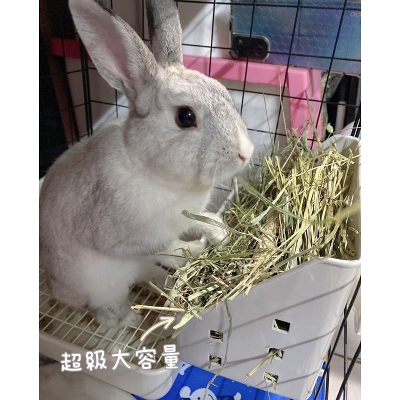 【現貨】兔子草架 牧草架 牧草盆 大容量牧草盆 固定式草架 兔子 天竺鼠 龍貓-細節圖2