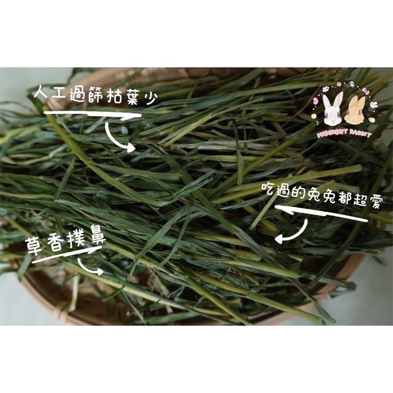 小麥草 400g  帶梗小麥草 牧草 寵物草 葉多 枯葉少 兔子 天竺鼠 龍貓-細節圖2