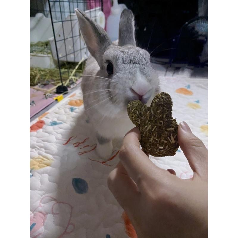 新鮮現做 手工提摩西草餅 可愛兔兔 天然牧草 無添加 寵物零食 寵物牧草 兔子 天竺鼠 龍貓-細節圖4
