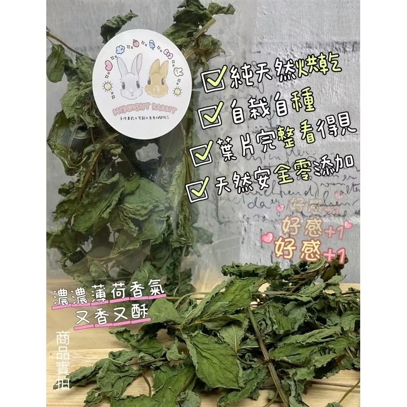 乾燥薄荷葉 營養保健草 無農藥 自栽自種 低溫乾燥 香酥美味 兔子 天竺鼠-細節圖2