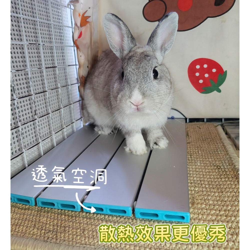 超透氣鋁製涼墊 降溫鋁板 多槽導流降溫鋁板 寵物專用 極涼鋁板 降溫神器 夏日散熱 寵物涼墊 寵物冰墊-細節圖2