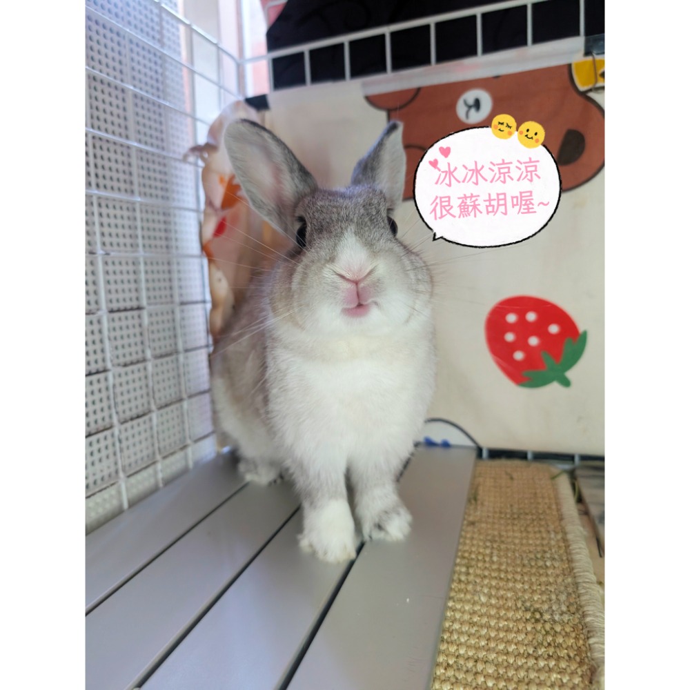 超透氣鋁製涼墊 降溫鋁板 多槽導流降溫鋁板 寵物專用 極涼鋁板 降溫神器 夏日散熱 寵物涼墊 寵物冰墊-細節圖4