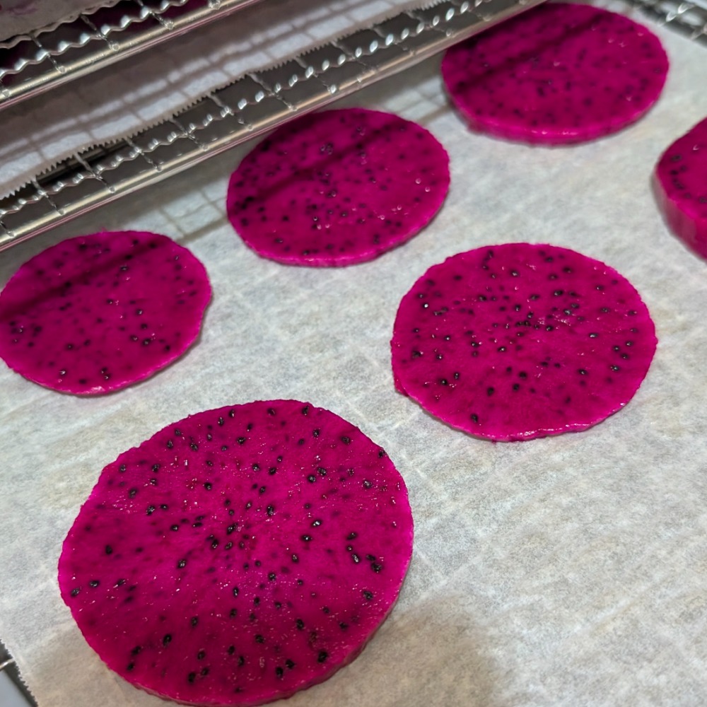 火龍果乾 紅火龍果乾 天然果乾 小寵點心 低溫烘培 在地水果 寵物果乾 果乾零食 水果乾 兔子 天竺鼠 龍貓-細節圖3