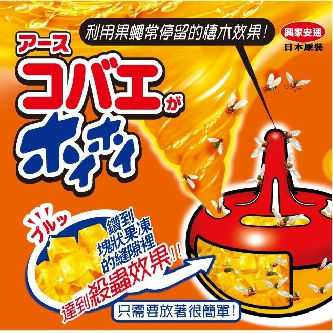 最新現貨 興家安速 果蠅 果蠅餌劑38g原廠公司貨 果蠅餌劑 除果蠅 果蠅誘捕盒 防蚊蟲 蒼蠅 果蠅黏劑 果蠅神器-細節圖4