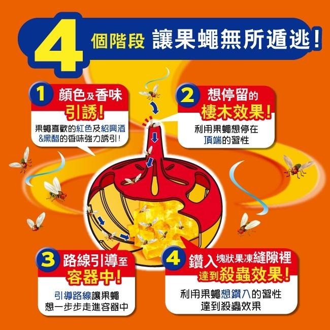 最新現貨 興家安速 果蠅 果蠅餌劑38g原廠公司貨 果蠅餌劑 除果蠅 果蠅誘捕盒 防蚊蟲 蒼蠅 果蠅黏劑 果蠅神器-細節圖5