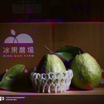 訂購芭樂請加入Line官方帳號【預購】新鮮芭樂（限本島），需等待，能接受者，再下單-細節圖2