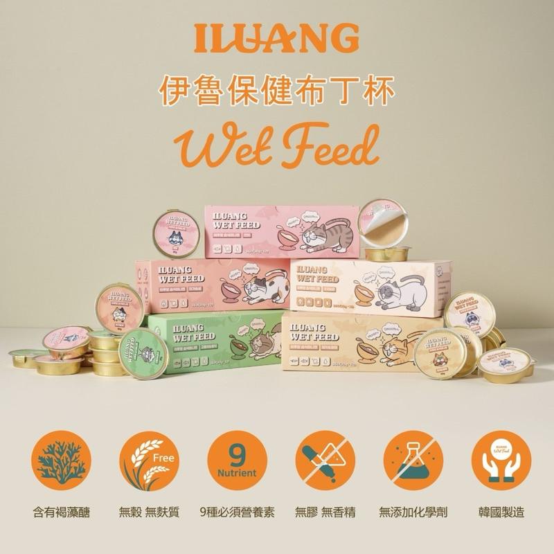 寵愛有家｜韓國lLUANG 伊魯保健布丁杯 30g 騙水罐 貓餐盒 布丁杯-細節圖2